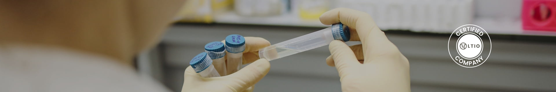 International Arrivals Covid 19 Testing The Regenerative Clinic International Arrivals Covid 19 Testing The Regenerative Clinic