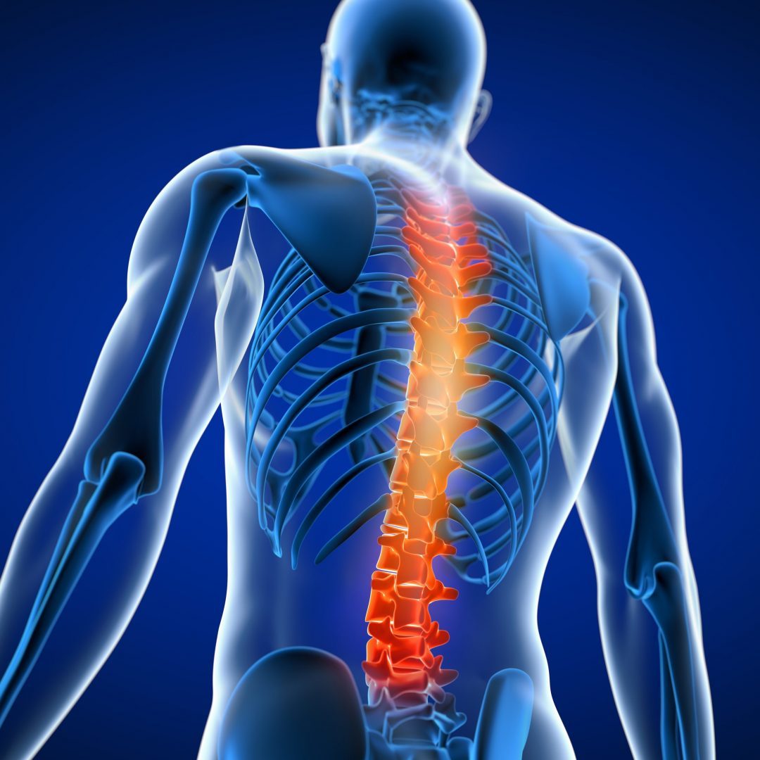40% Off Spine and Back Consultations When You Book Before December 17th!