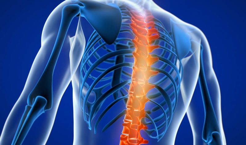 40% Off Spine and Back Consultations When You Book Before December 17th!