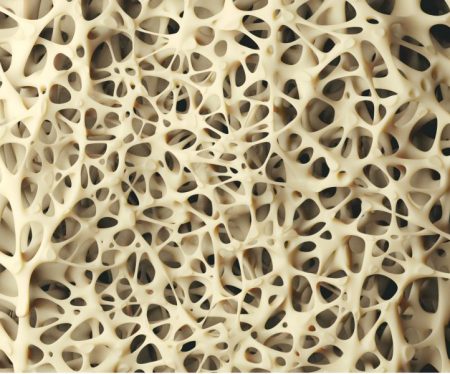 Sound Waves Convert Stem Cells Into Bone in Regenerative Breakthrough