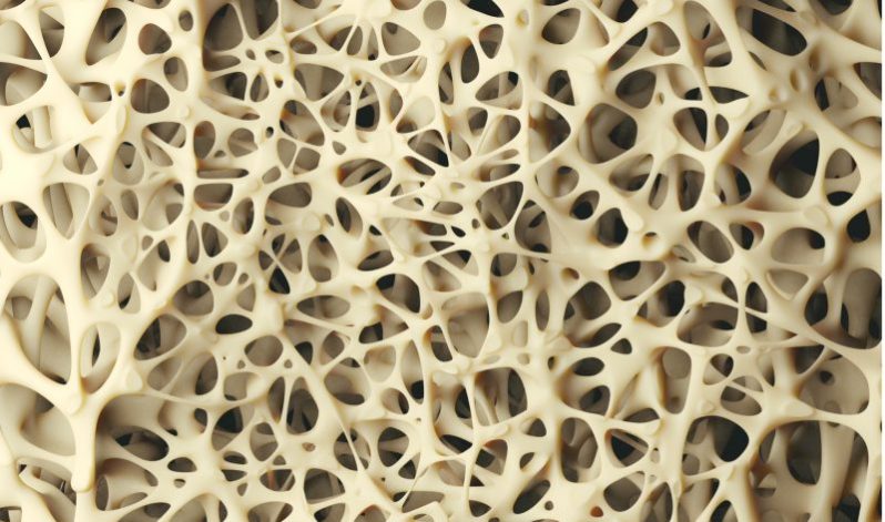 Sound Waves Convert Stem Cells Into Bone in Regenerative Breakthrough