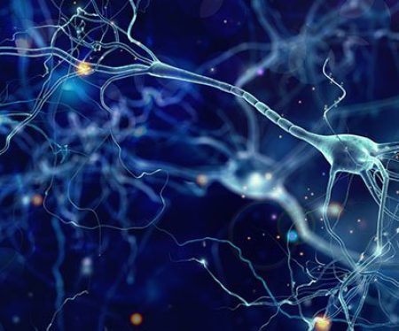 Groundbreaking stem cell therapy for multiple sclerosis recommended for use