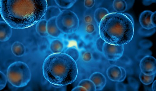 The stem cell revolution marches on with multiple uses and startling results