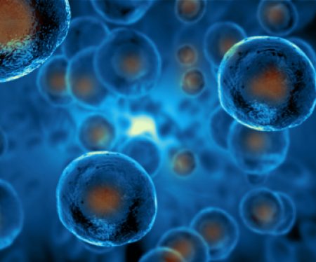 The stem cell revolution marches on with multiple uses and startling results