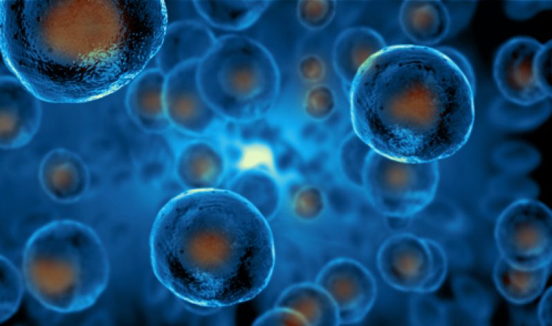 The stem cell revolution marches on with multiple uses and startling results